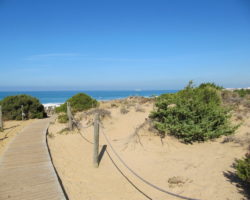 Holzsteg zum Strand